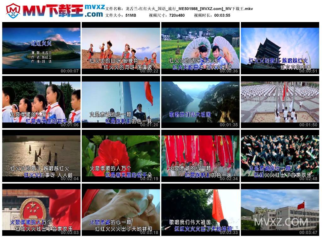龙舌兰-红红火火_国语_流行_ME501988